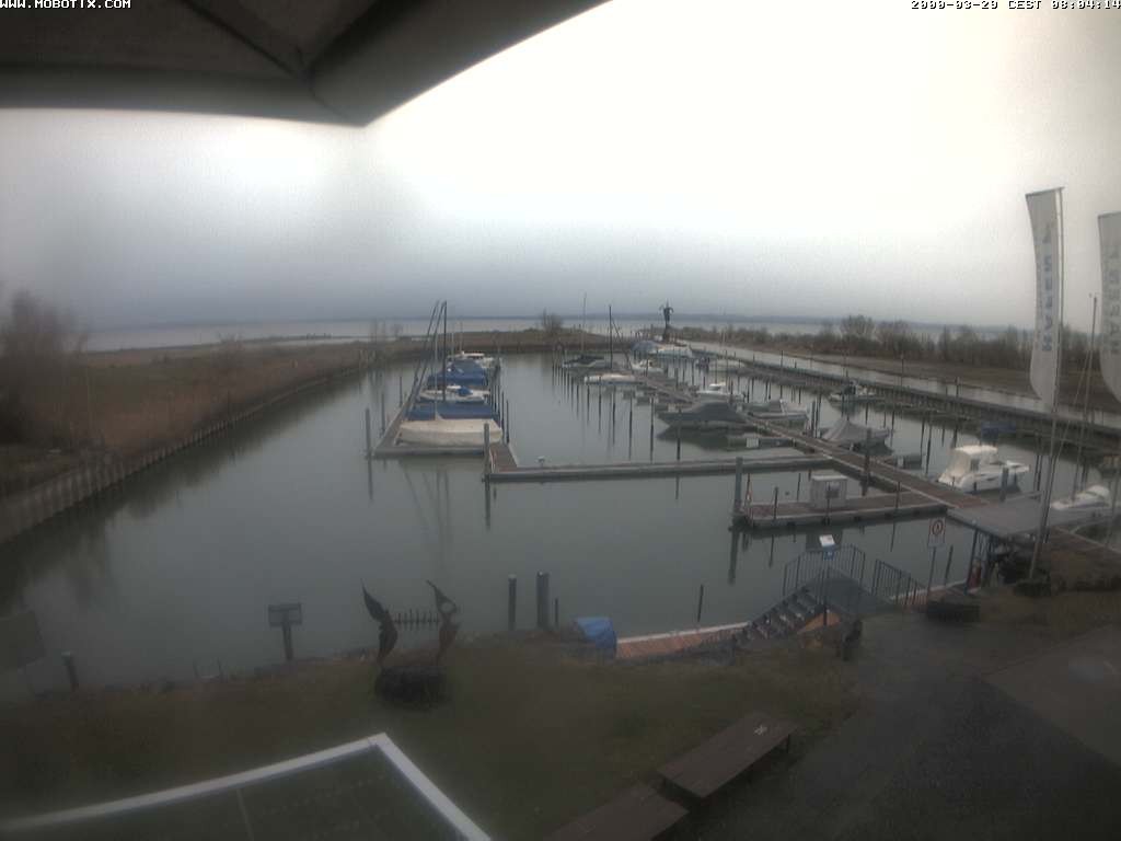 Archiv Foto Webcam Bodensee: Hafen Rheinhof