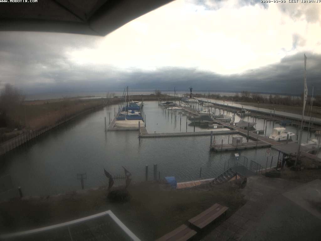 Archiv Foto Webcam Bodensee: Hafen Rheinhof