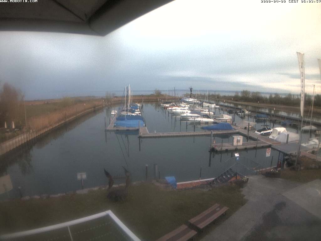 Archiv Foto Webcam Bodensee: Hafen Rheinhof