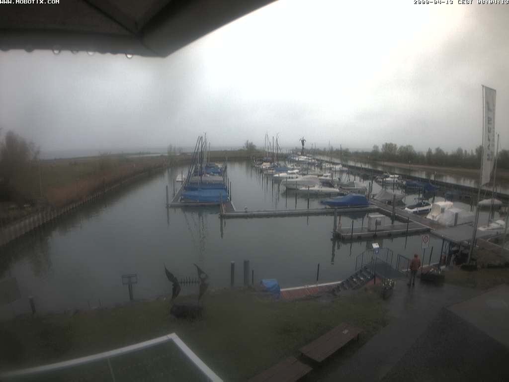 Archiv Foto Webcam Bodensee: Hafen Rheinhof