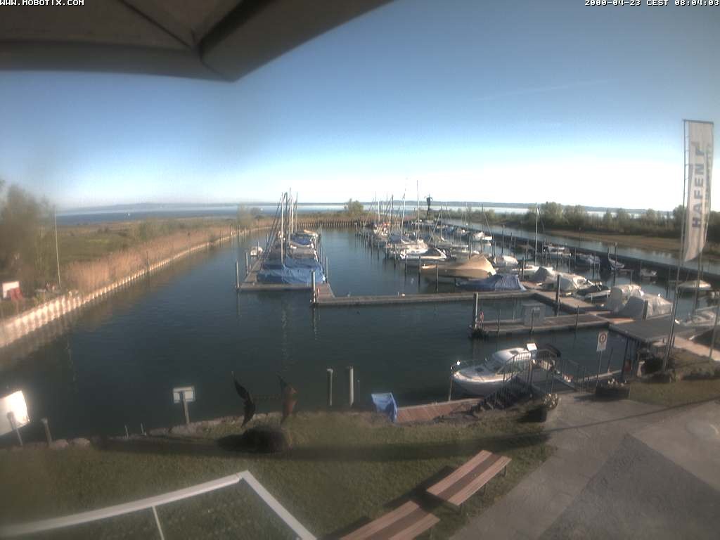 Archiv Foto Webcam Bodensee: Hafen Rheinhof