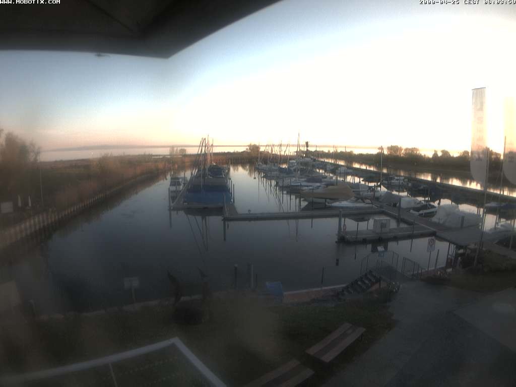 Archiv Foto Webcam Bodensee: Hafen Rheinhof