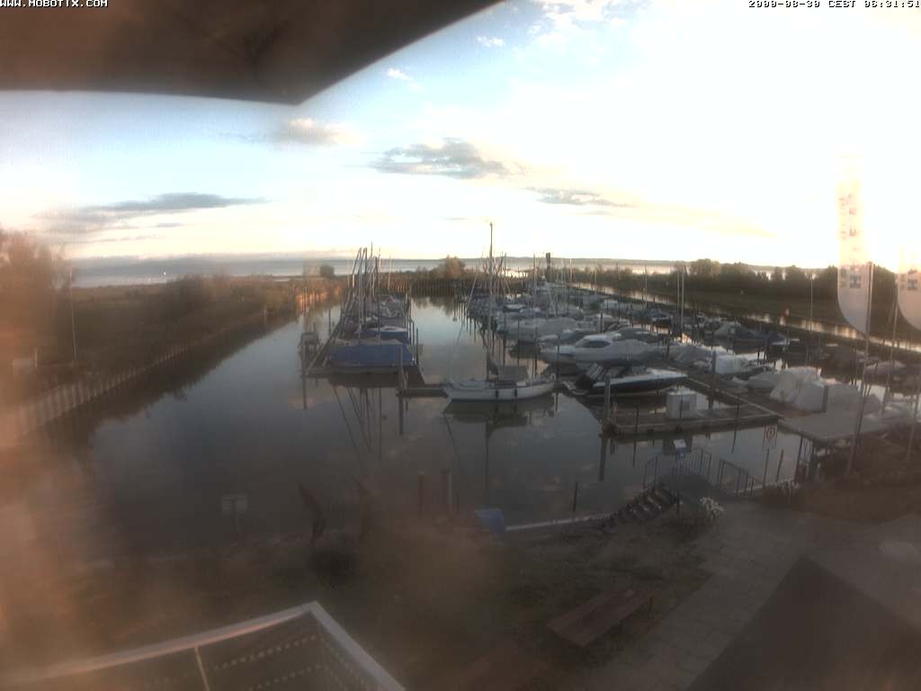Archiv Foto Webcam Bodensee: Hafen Rheinhof