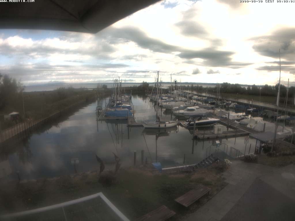 Archiv Foto Webcam Bodensee: Hafen Rheinhof