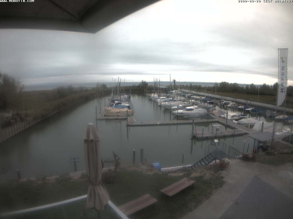 Archiv Foto Webcam Bodensee: Hafen Rheinhof