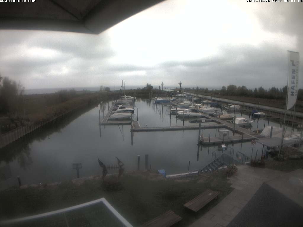 Archiv Foto Webcam Bodensee: Hafen Rheinhof