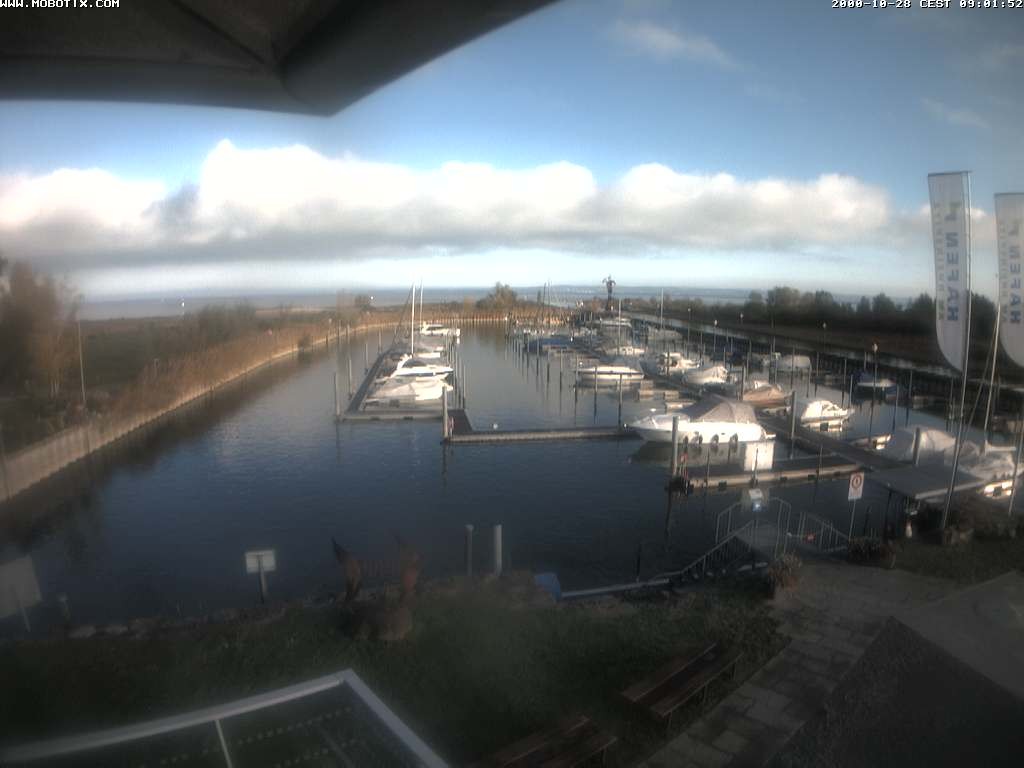 Archiv Foto Webcam Bodensee: Hafen Rheinhof