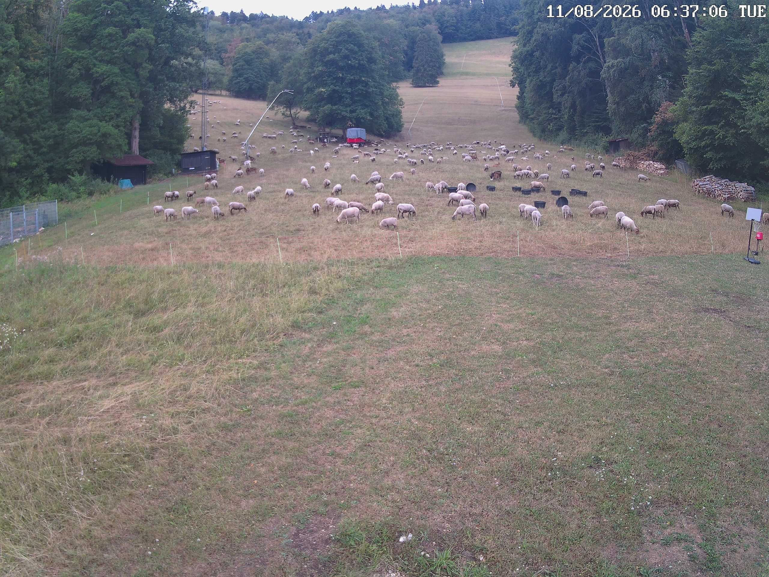 Archiv Foto Webcam Albstadt - Ebingen