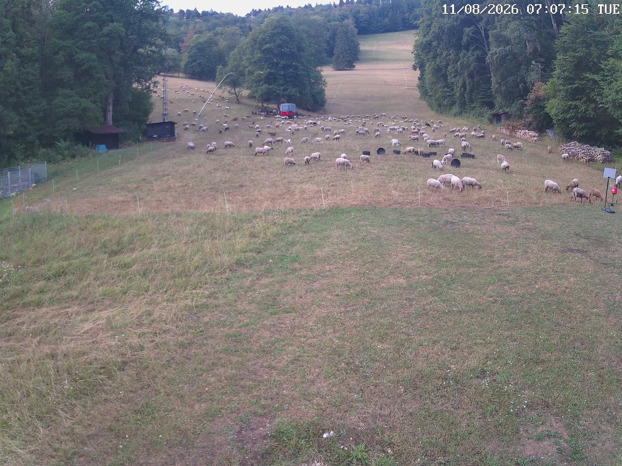 Archiv Foto Webcam Albstadt - Ebingen