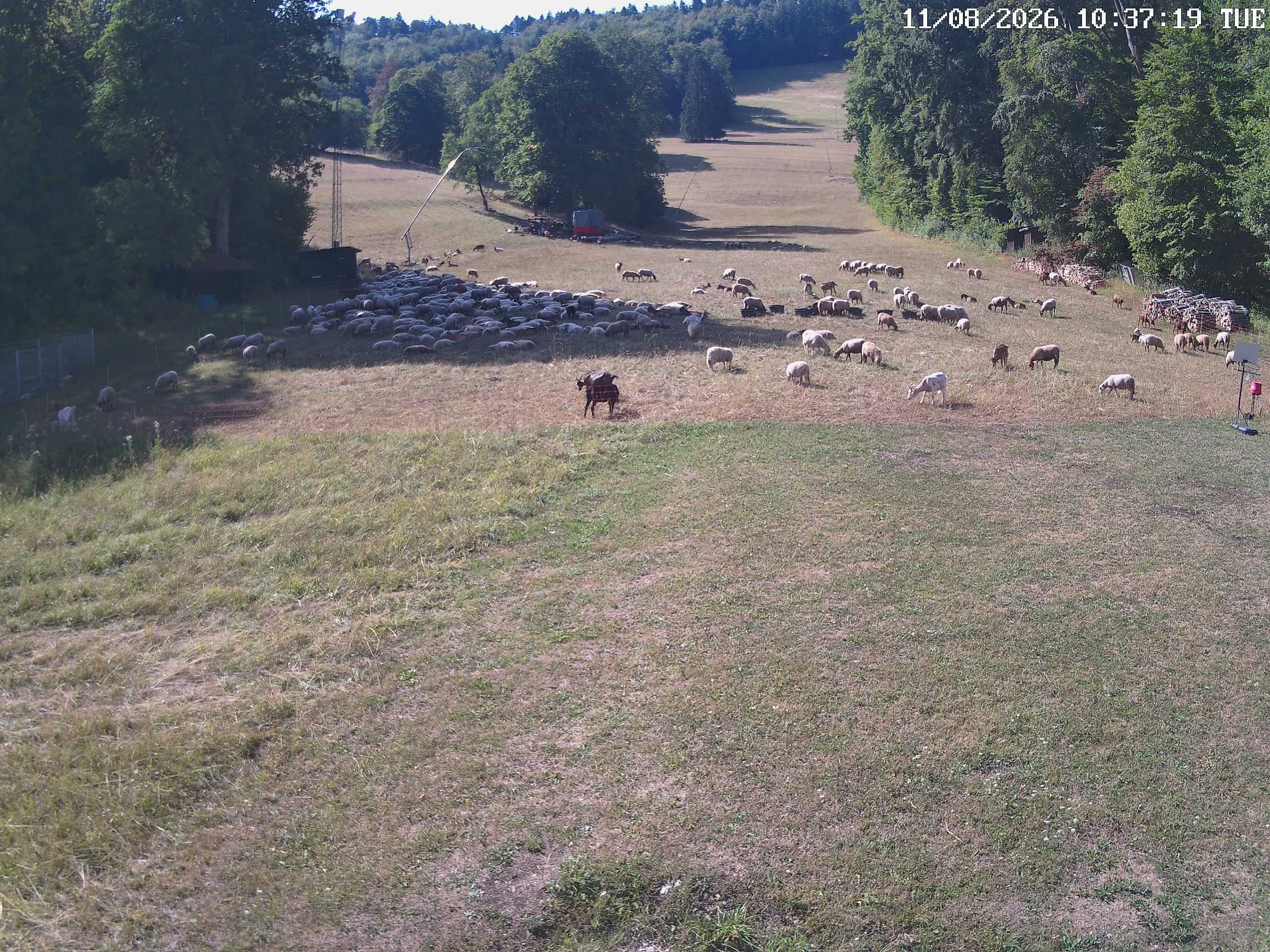 Archiv Foto Webcam Albstadt - Ebingen