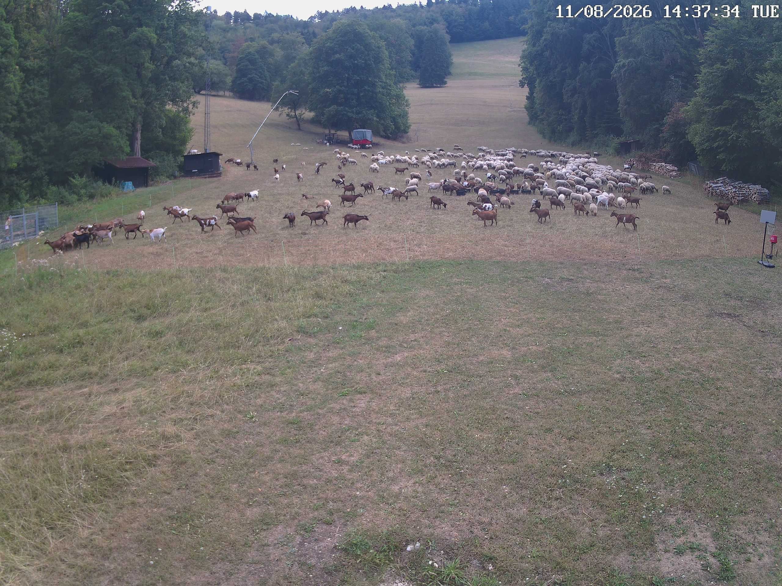 Archiv Foto Webcam Albstadt - Ebingen
