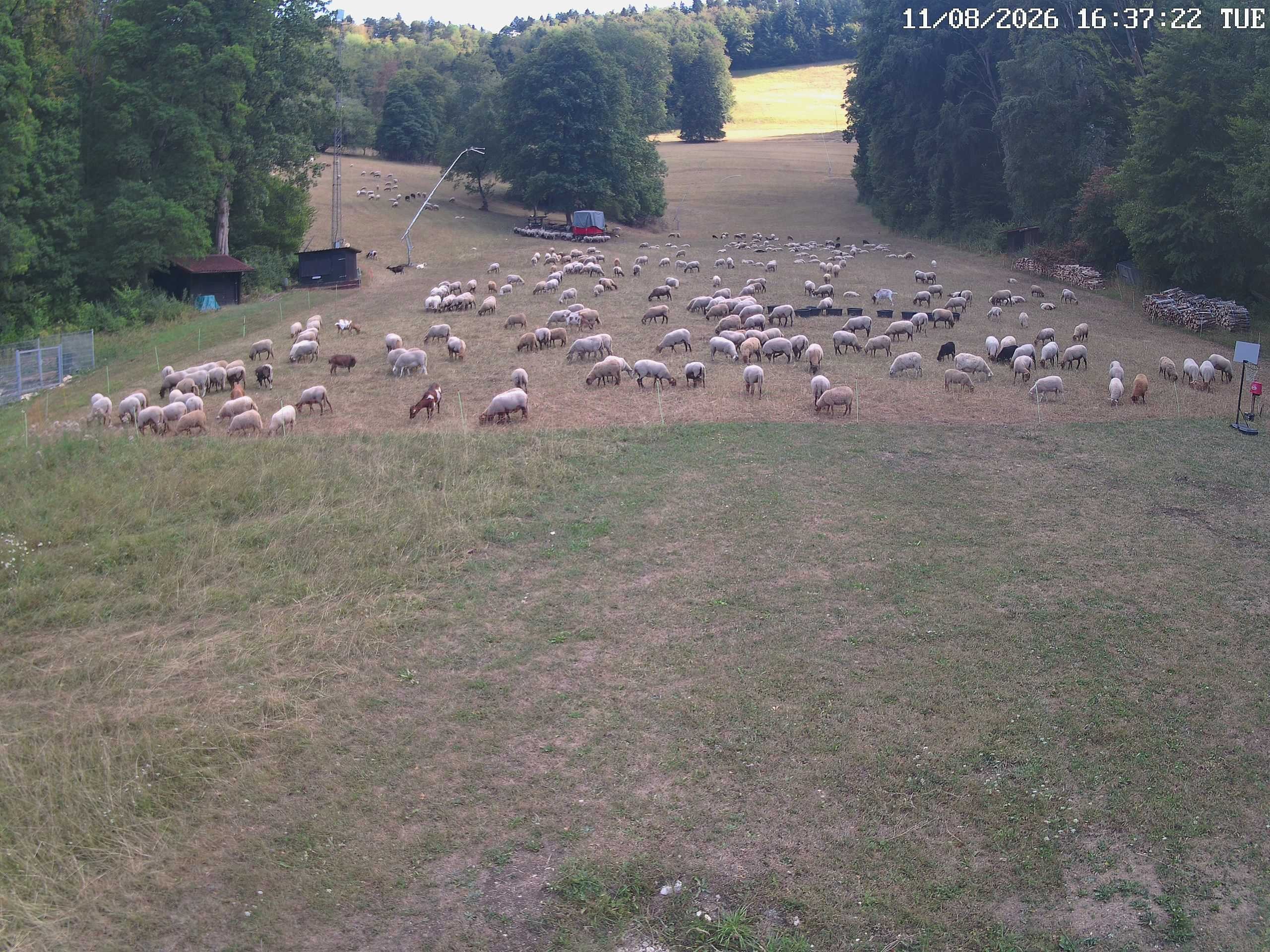 Archiv Foto Webcam Albstadt - Ebingen
