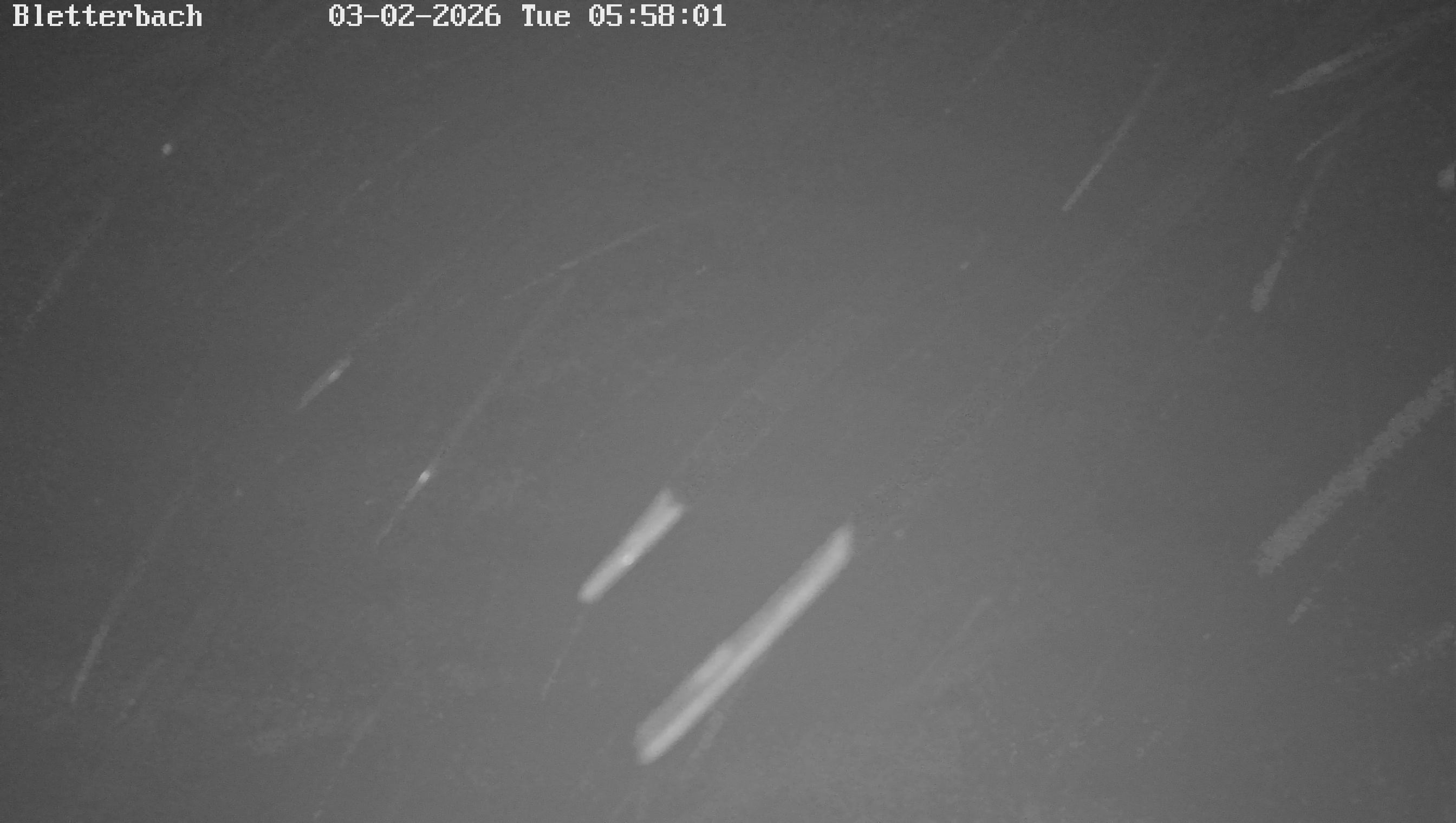 Archiv Foto Webcam Blick auf Bletterbachschlucht (Eggental, Südtirol)