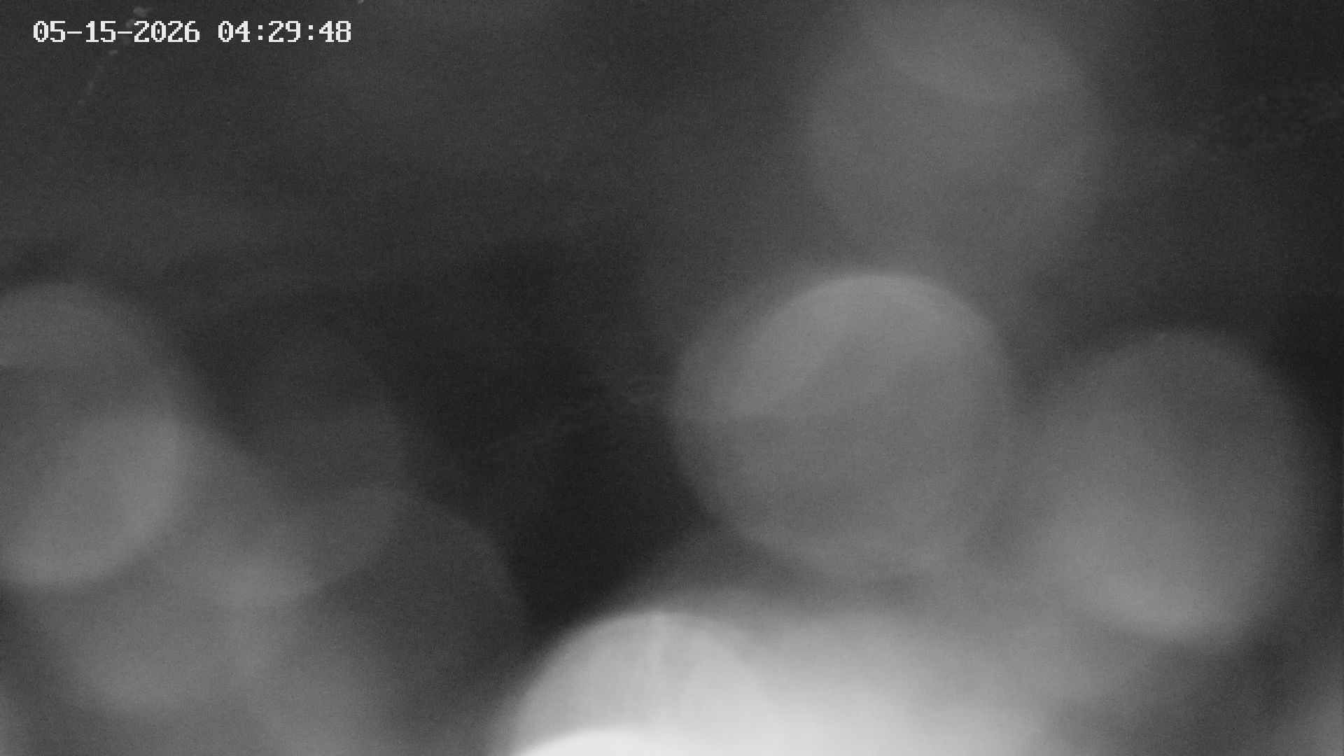 Archived image Webcam View of Canyon Bletterbach in South Tyrol