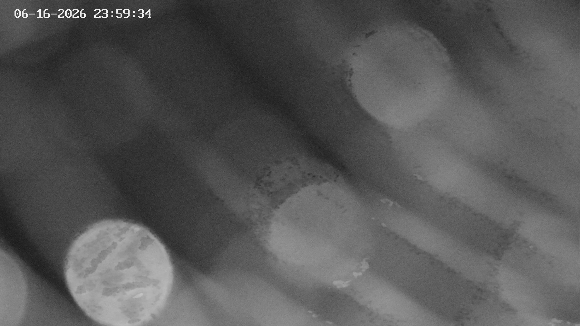 Archiv Foto Webcam Blick auf Bletterbachschlucht (Eggental, Südtirol)