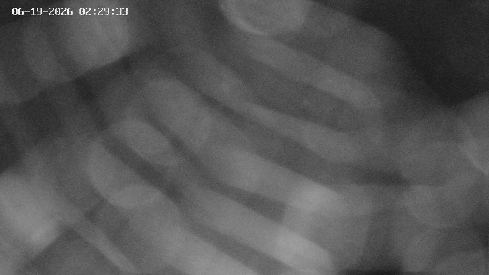 Archiv Foto Webcam Blick auf Bletterbachschlucht (Eggental, Südtirol)