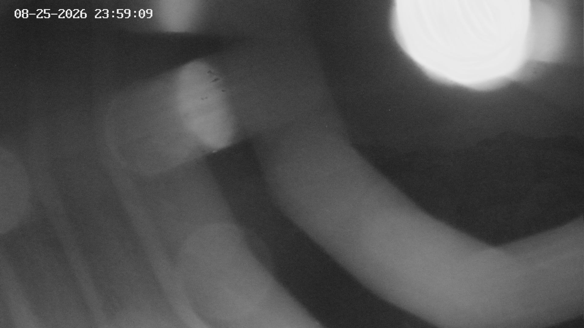 Archived image Webcam View of Canyon Bletterbach in South Tyrol