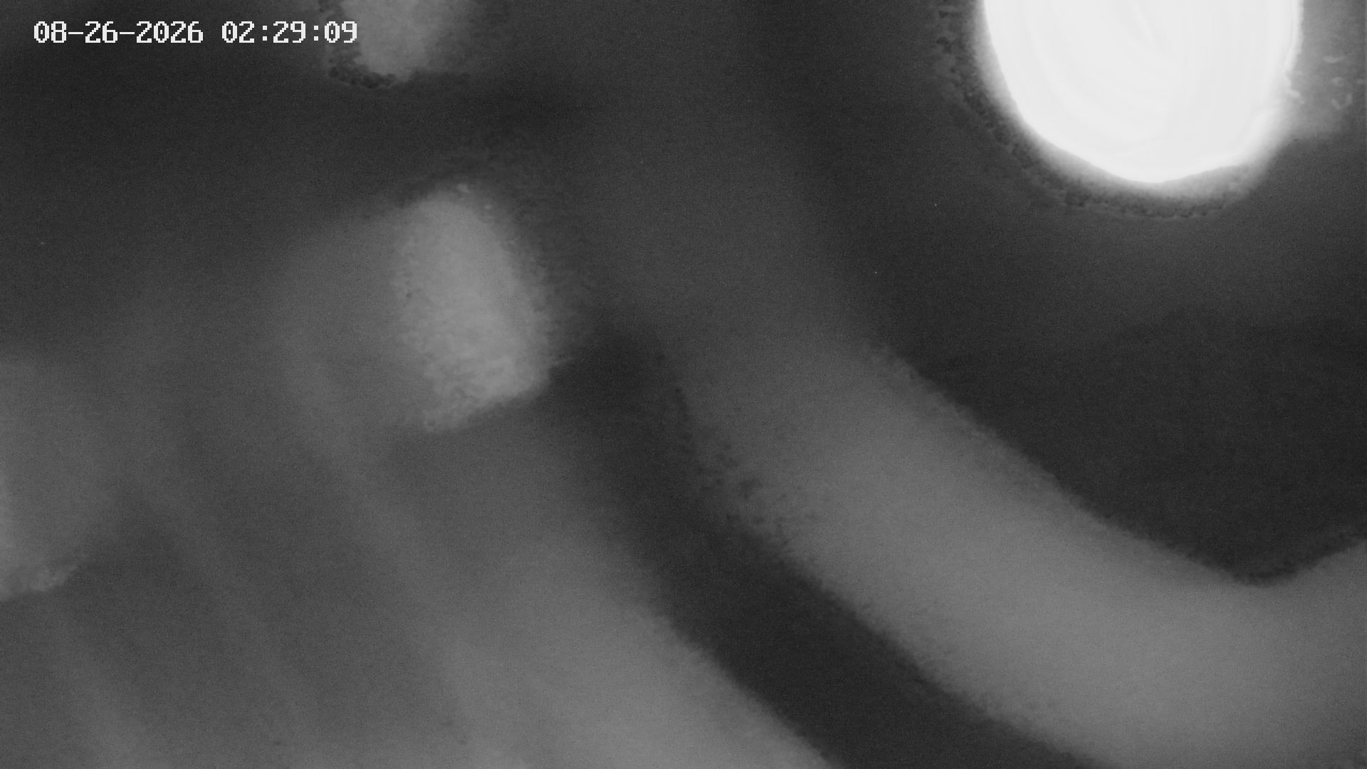 Archived image Webcam View of Canyon Bletterbach in South Tyrol