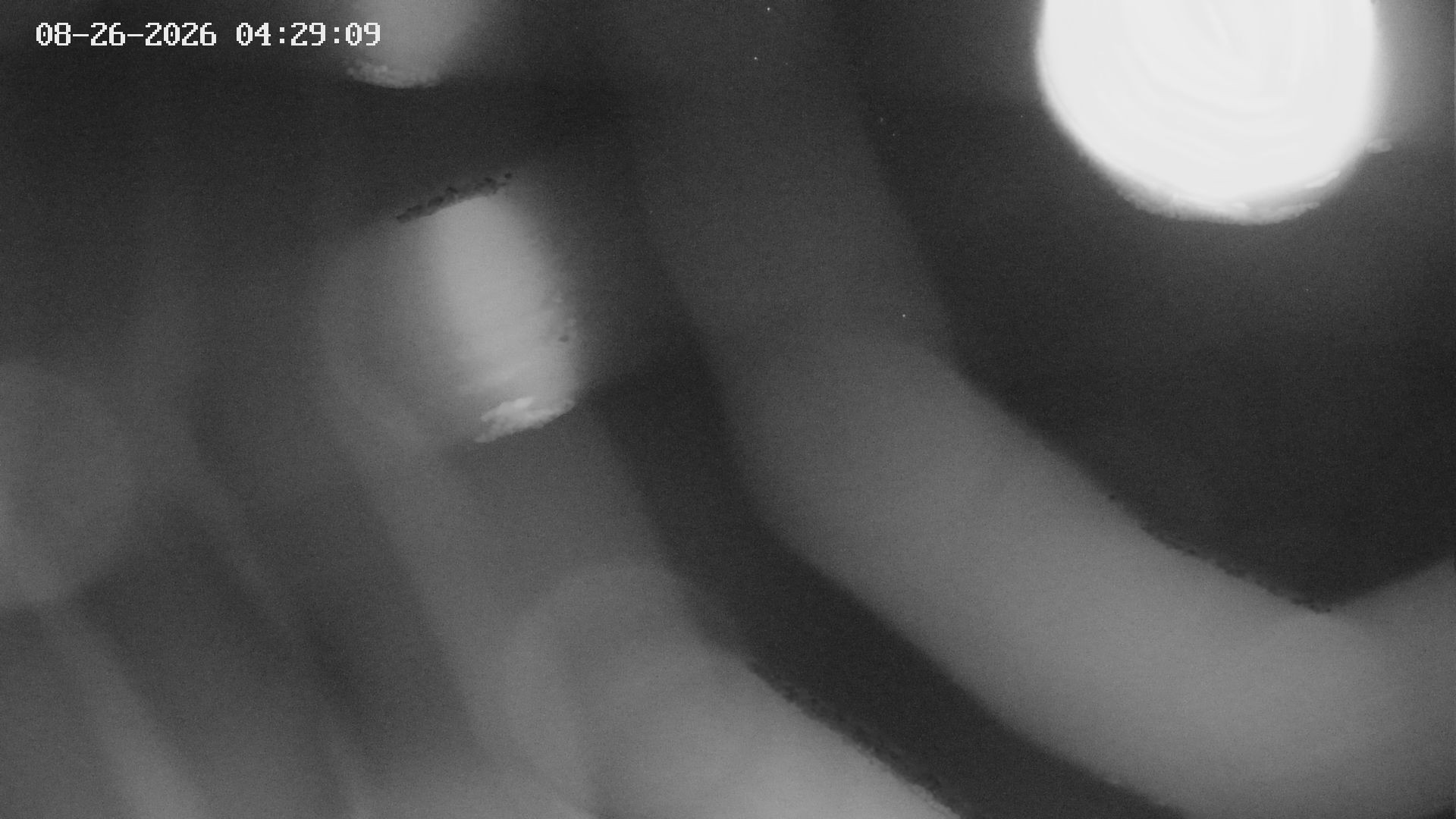 Archived image Webcam View of Canyon Bletterbach in South Tyrol