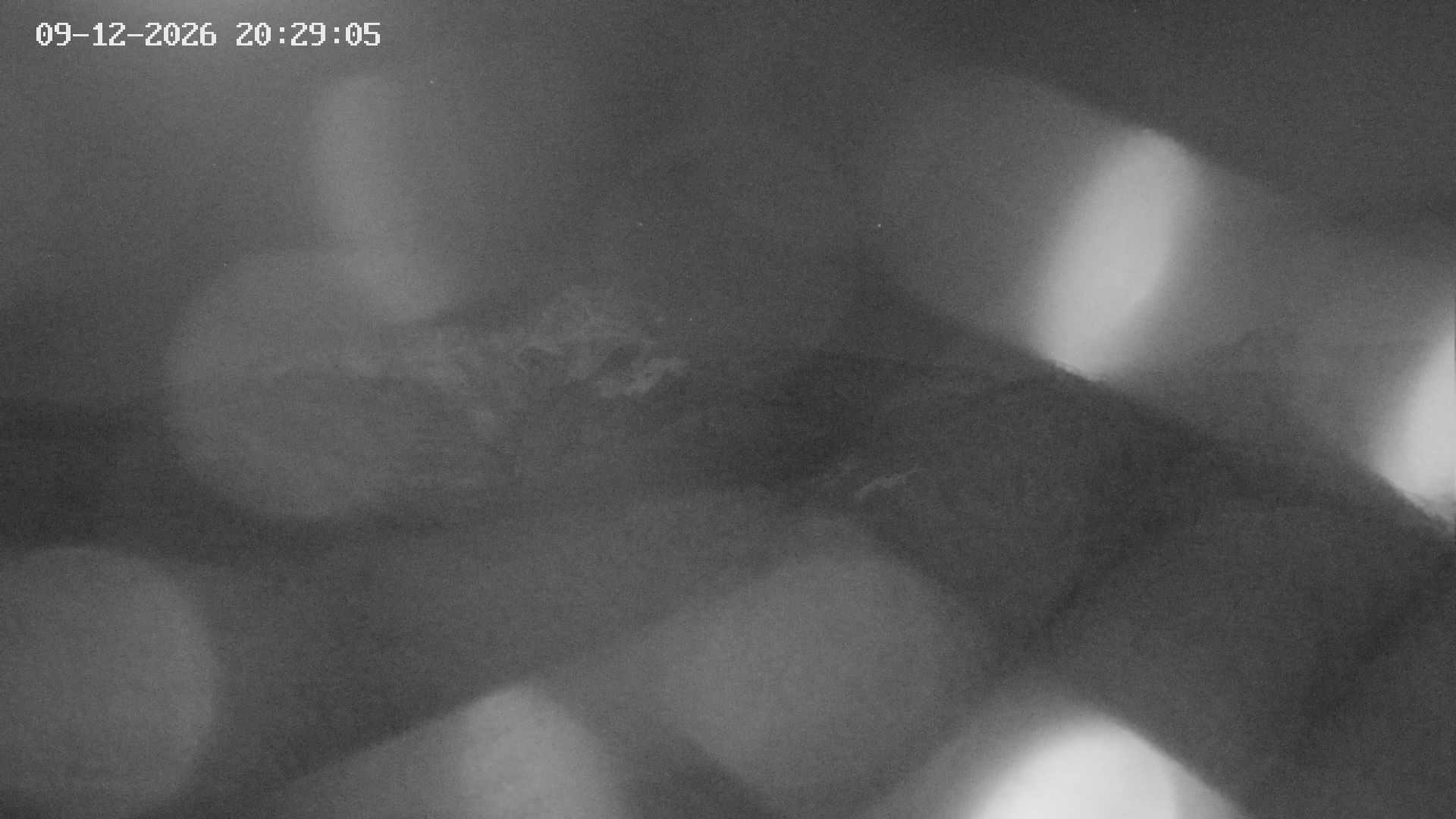 Archiv Foto Webcam Blick auf Bletterbachschlucht (Eggental, Südtirol)