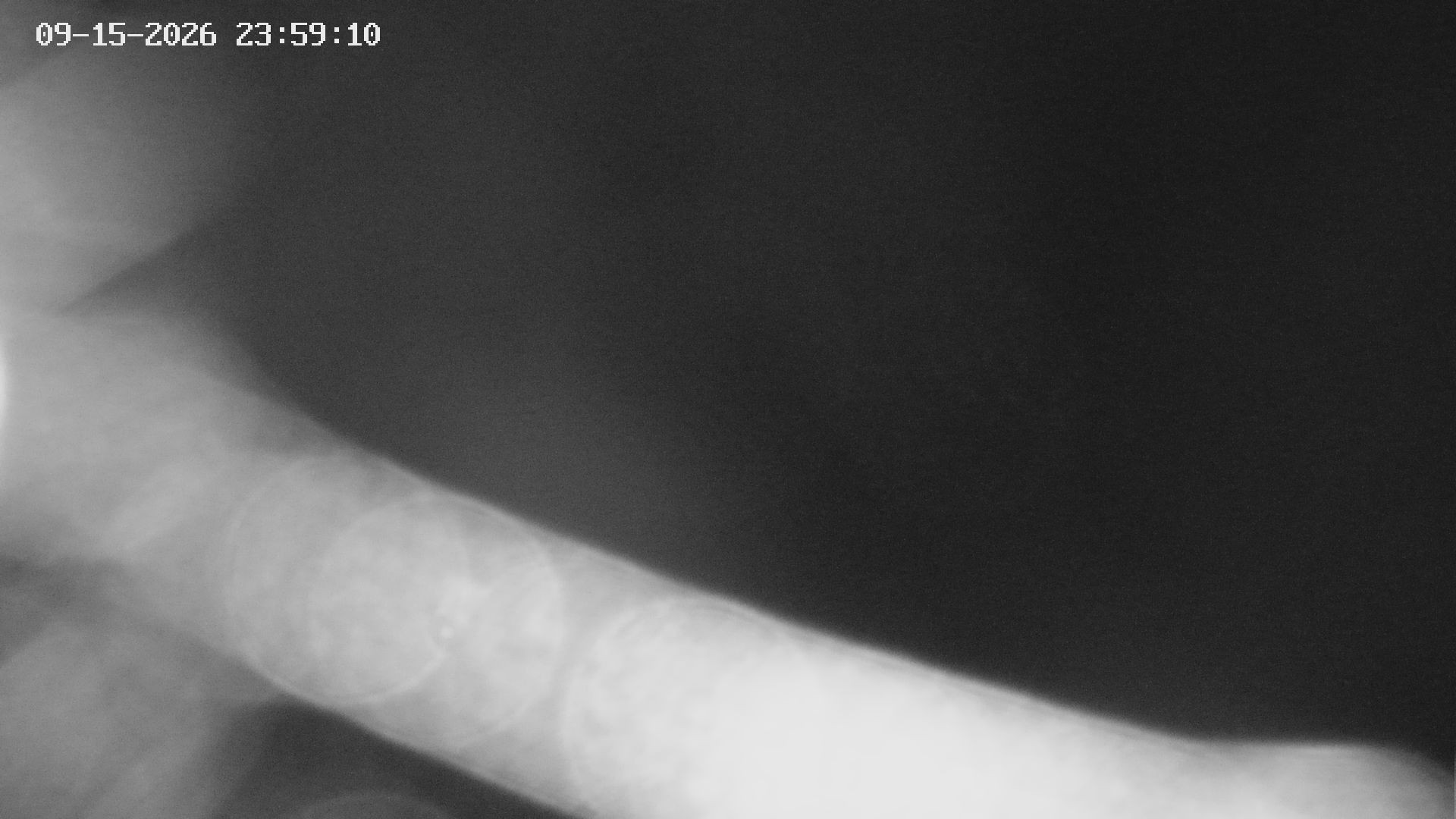 Archived image Webcam View of Canyon Bletterbach in South Tyrol