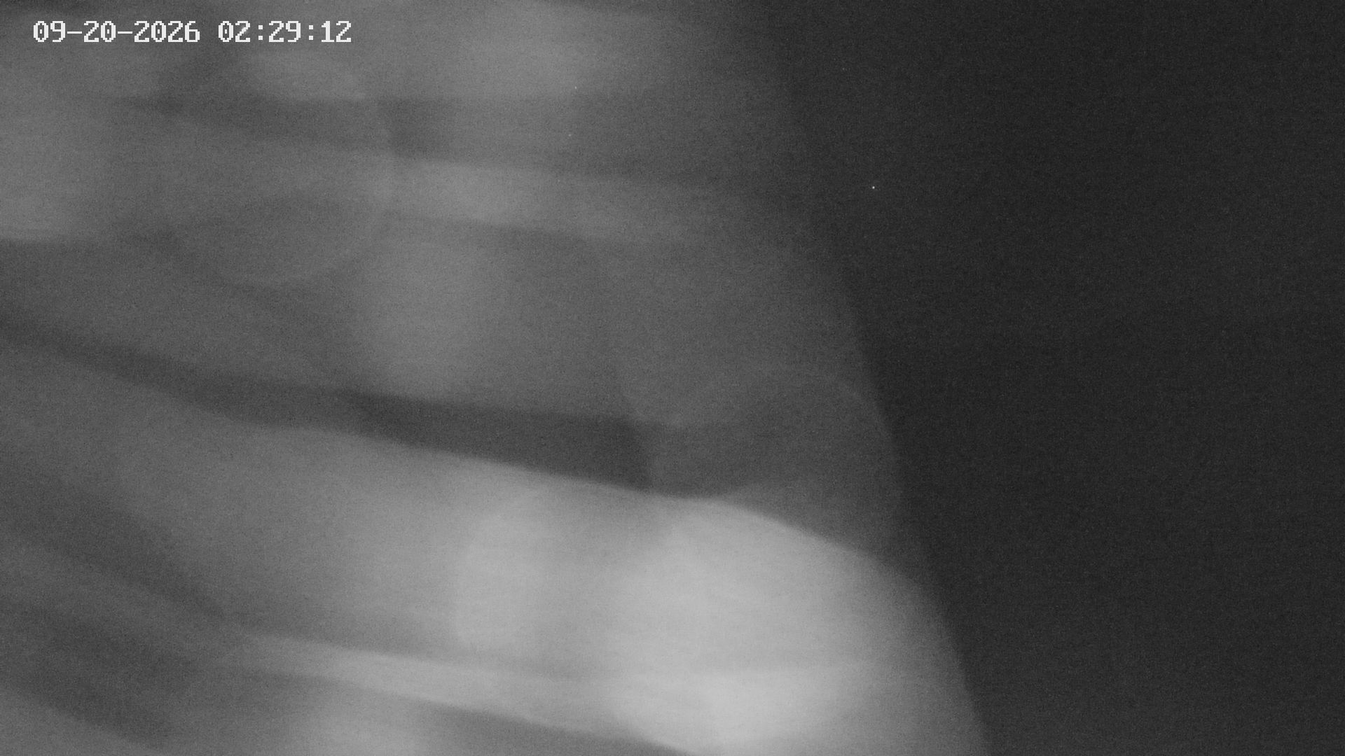 Archiv Foto Webcam Blick auf Bletterbachschlucht (Eggental, Südtirol)