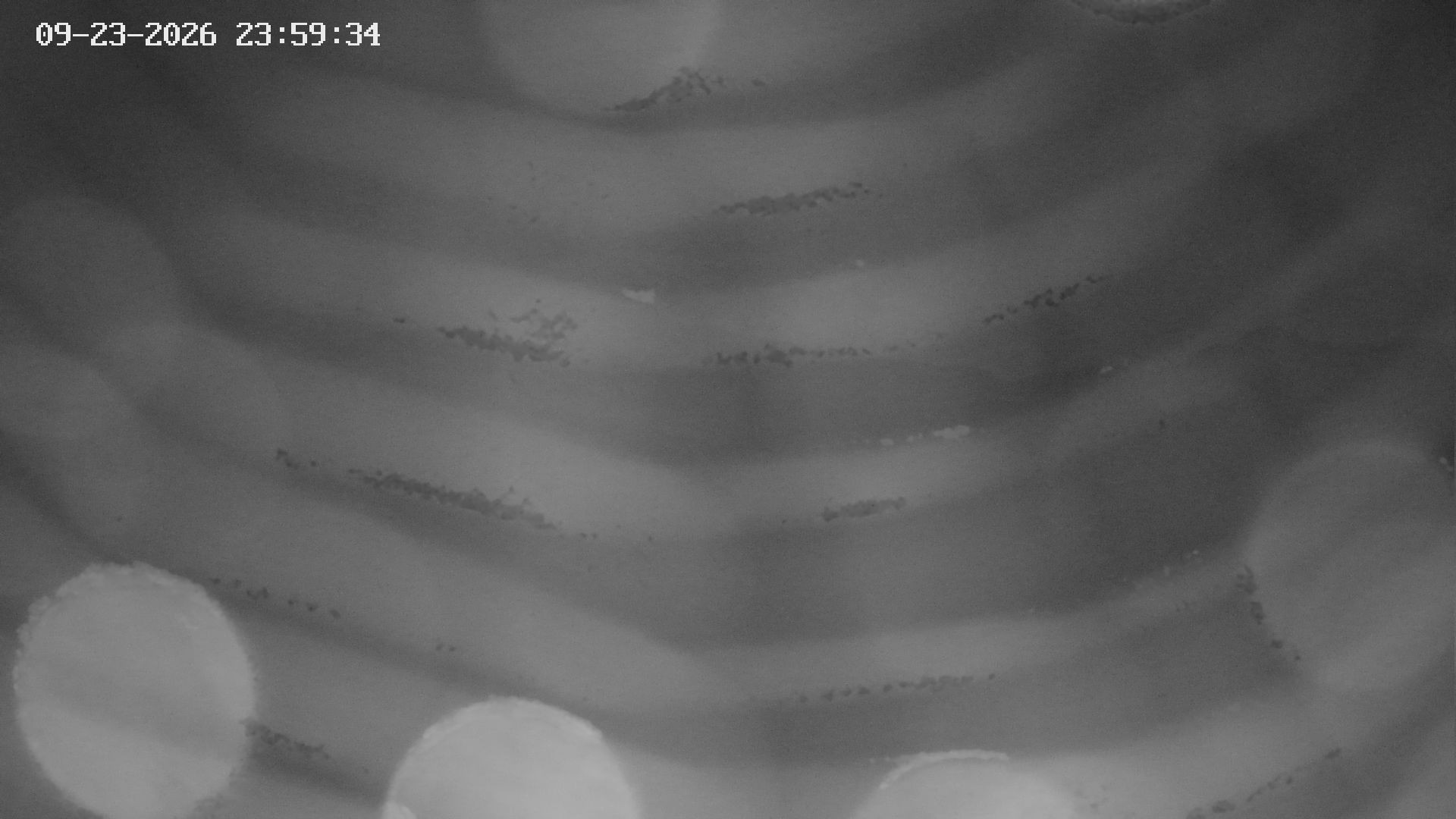 Archived image Webcam View of Canyon Bletterbach in South Tyrol