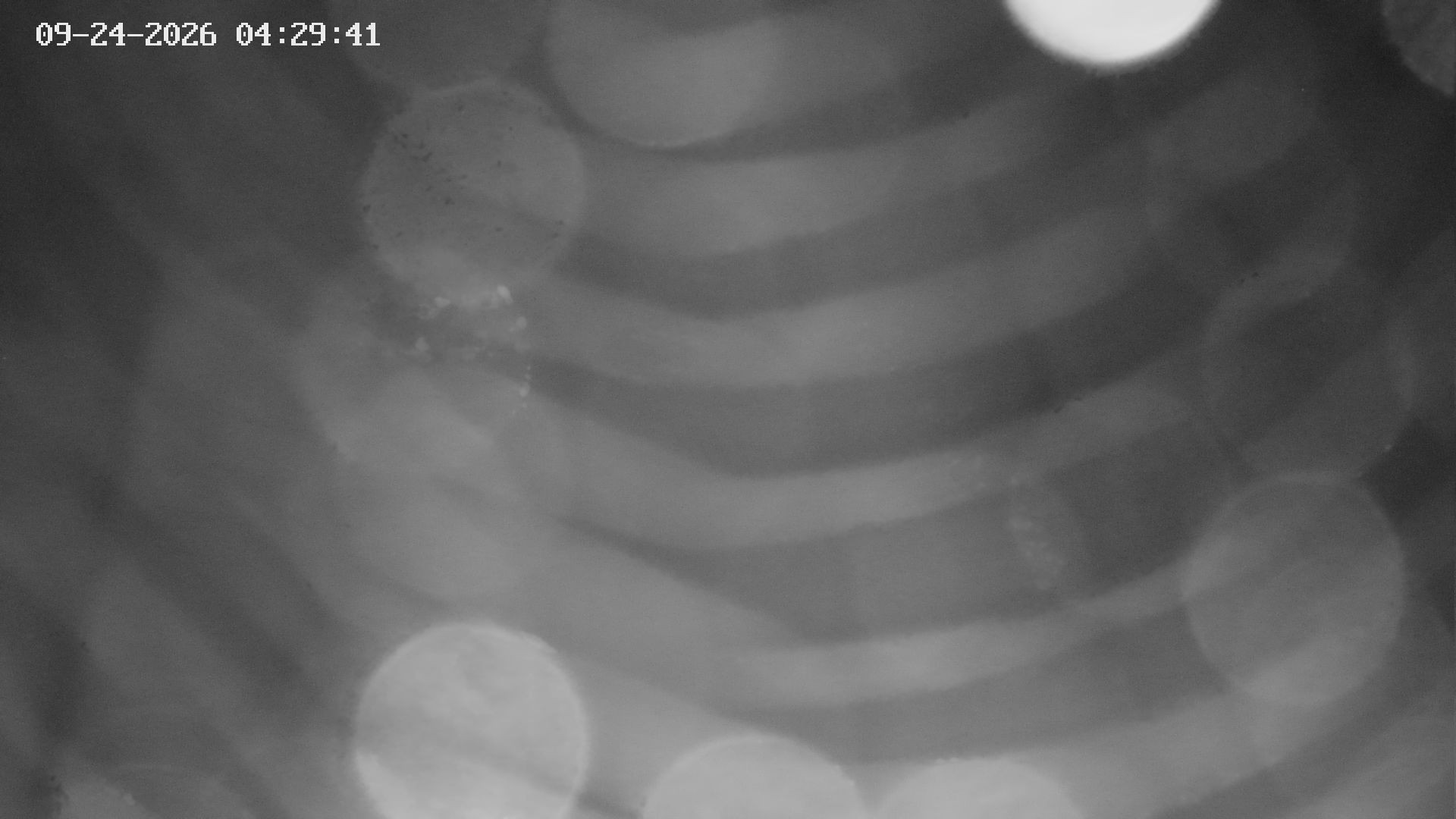 Archived image Webcam View of Canyon Bletterbach in South Tyrol