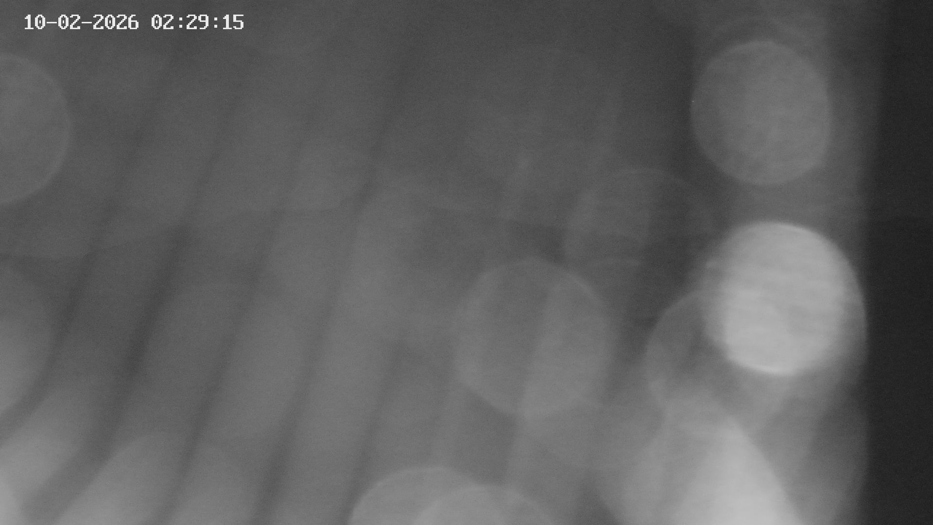 Archiv Foto Webcam Blick auf Bletterbachschlucht (Eggental, Südtirol)