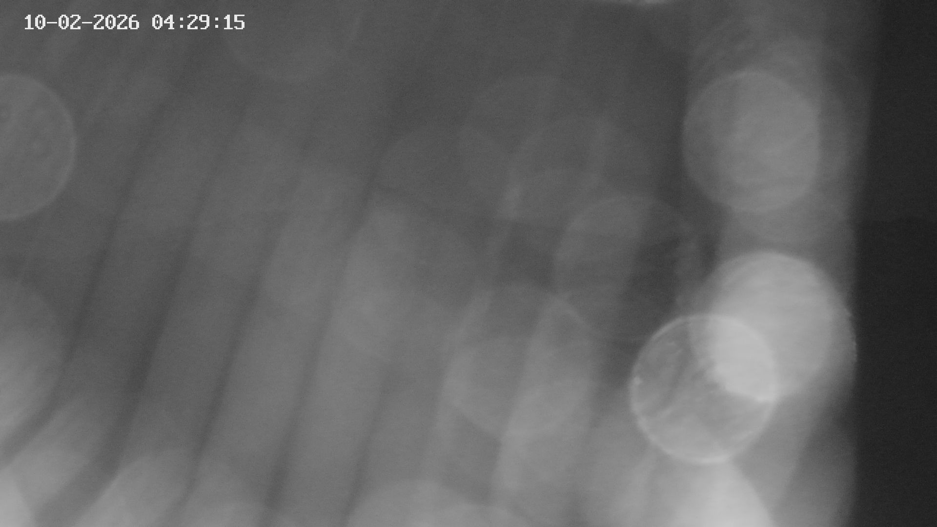 Archiv Foto Webcam Blick auf Bletterbachschlucht (Eggental, Südtirol)