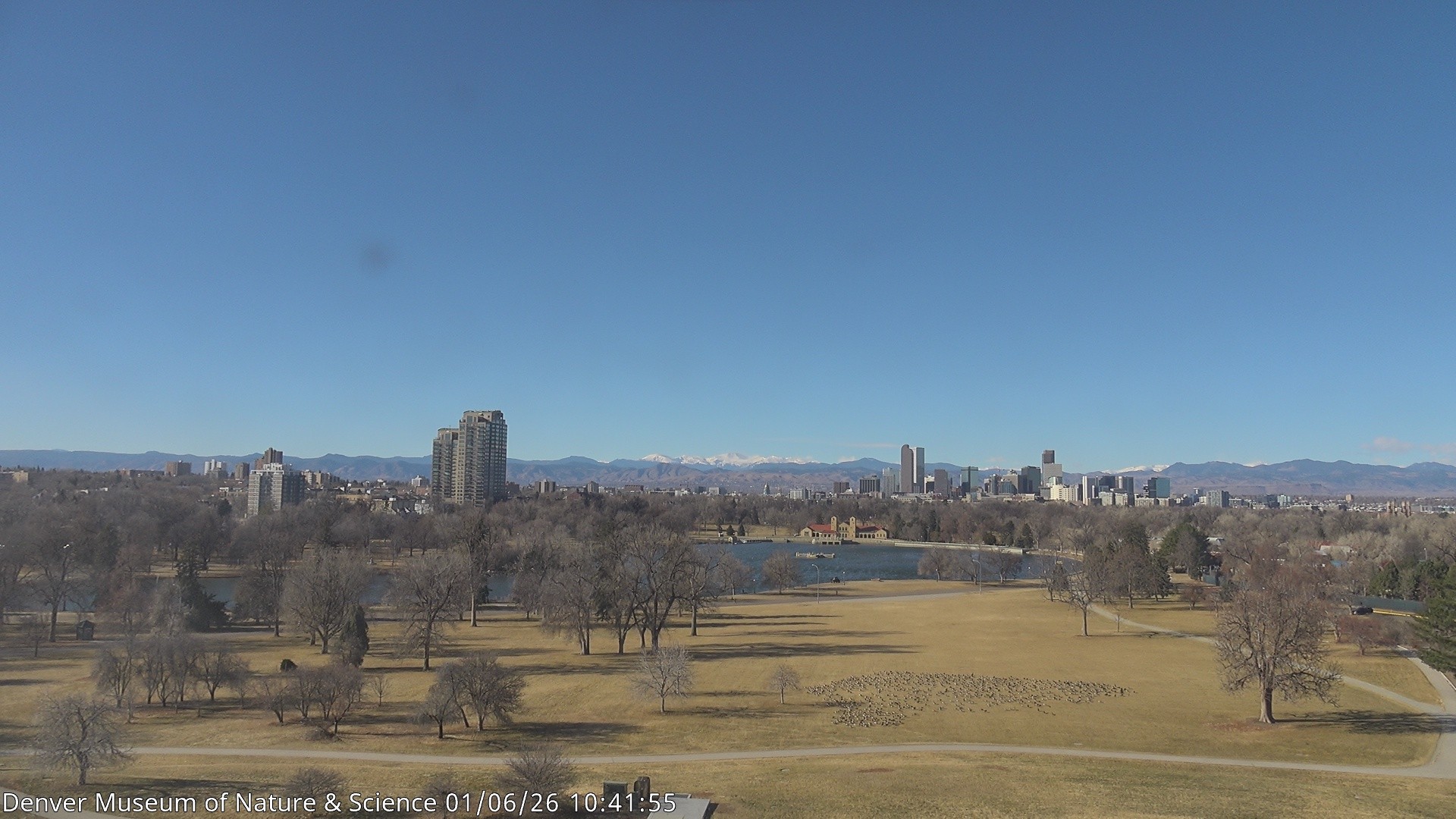 Archiv Foto Webcam Skyline Denver Colorado