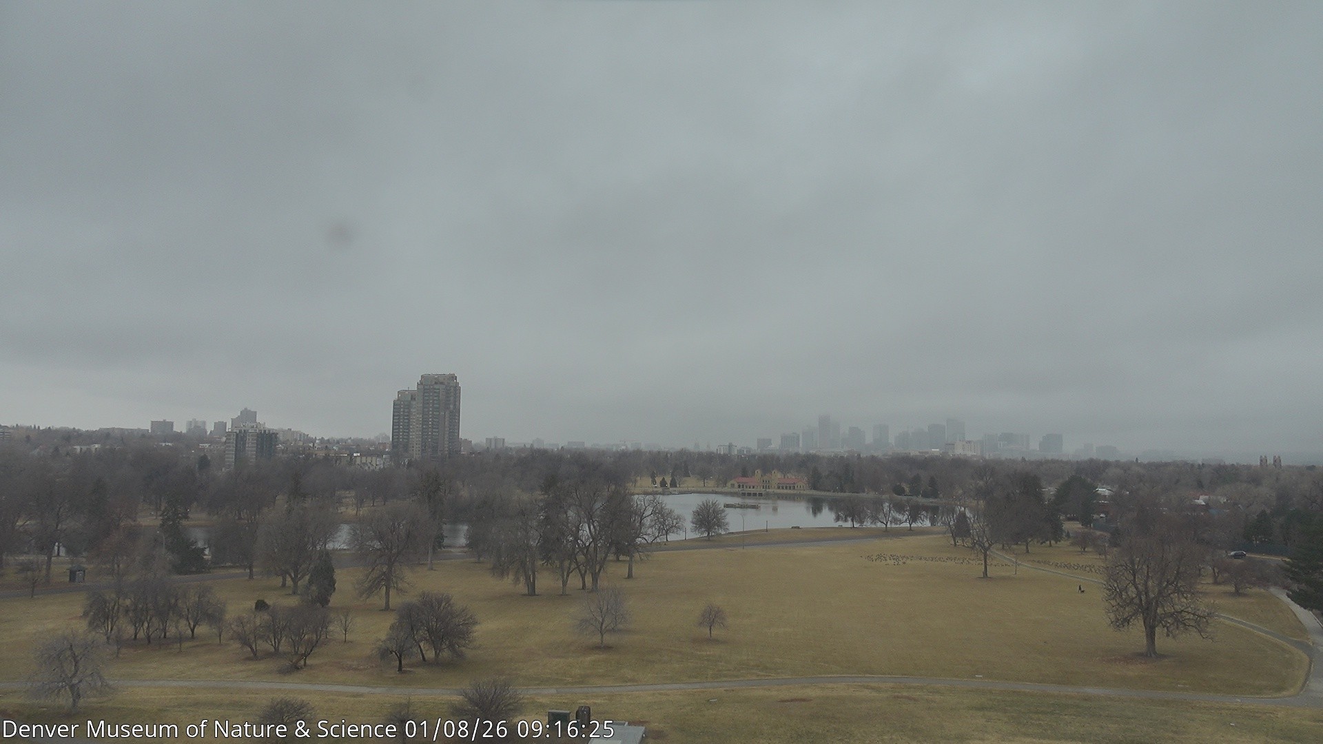 Archiv Foto Webcam Skyline Denver Colorado