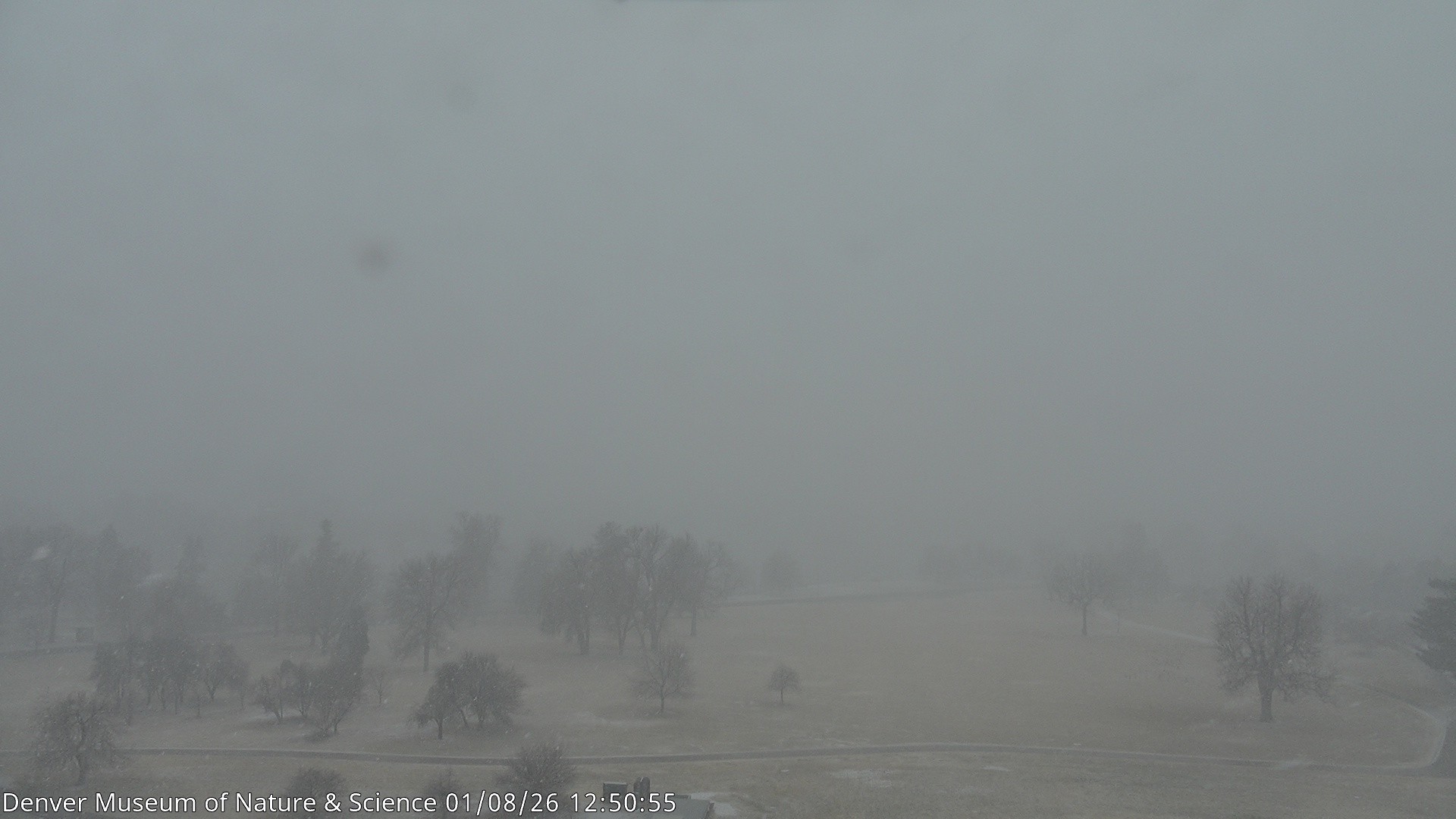 Archiv Foto Webcam Skyline Denver Colorado