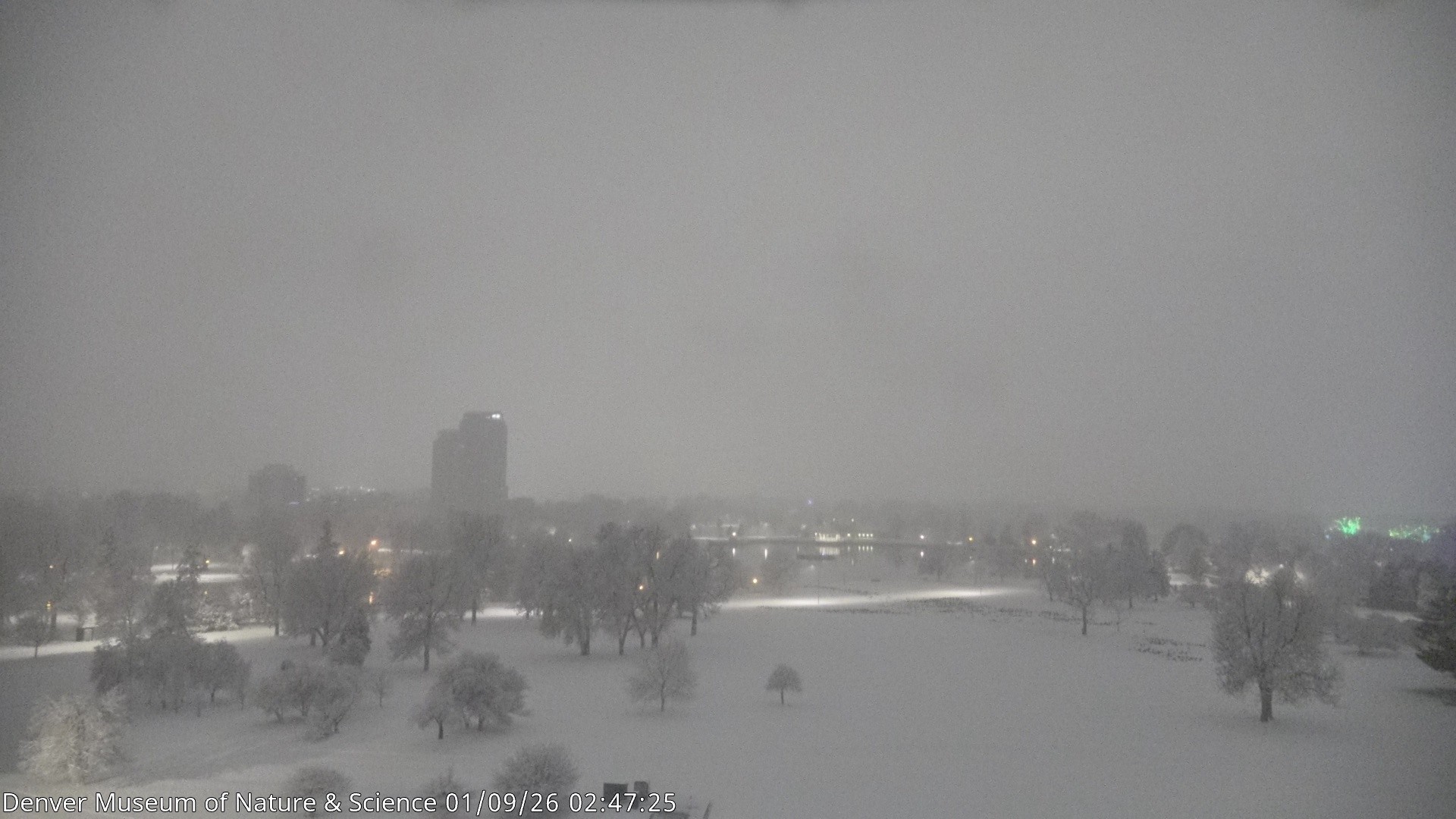 Archived image Webcam Denver's Skyline