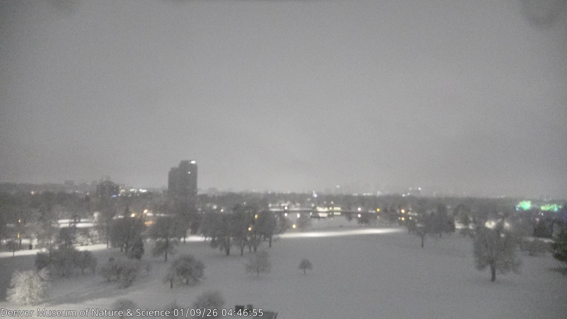 Archived image Webcam Denver's Skyline