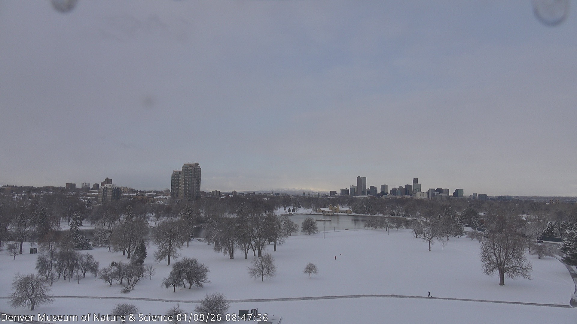 Archived image Webcam Denver's Skyline