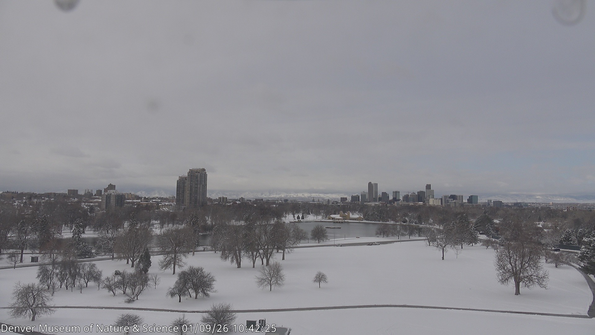 Archived image Webcam Denver's Skyline