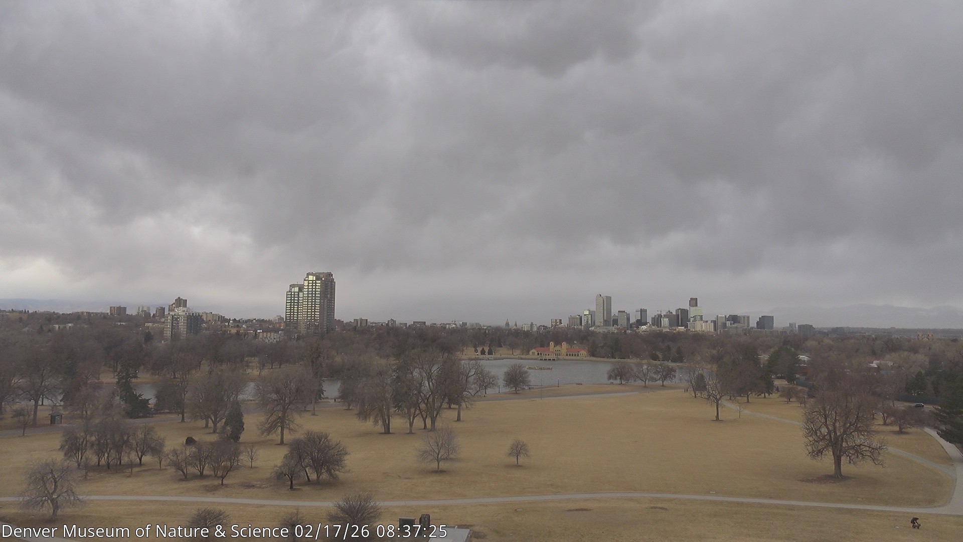 Archiv Foto Webcam Skyline Denver Colorado