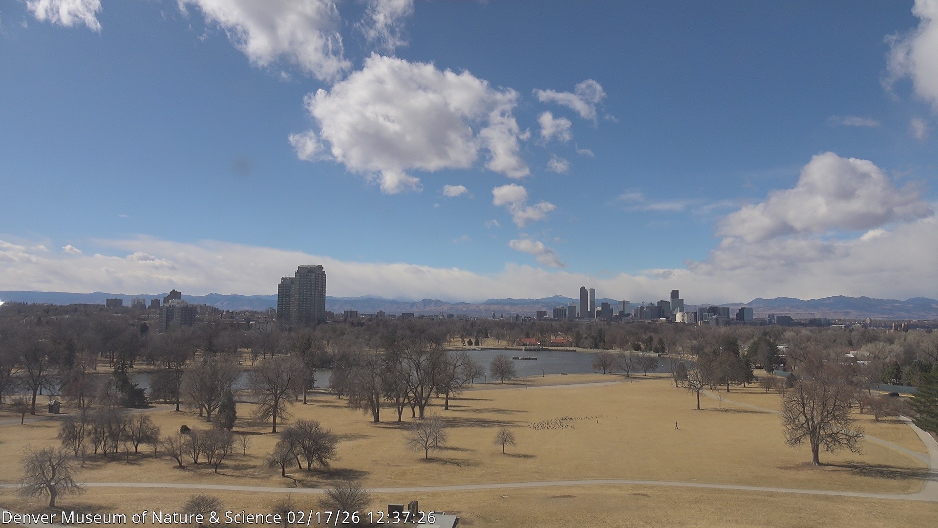 Archiv Foto Webcam Skyline Denver Colorado
