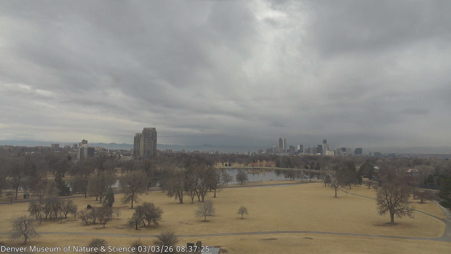 Archived image Webcam Denver's Skyline