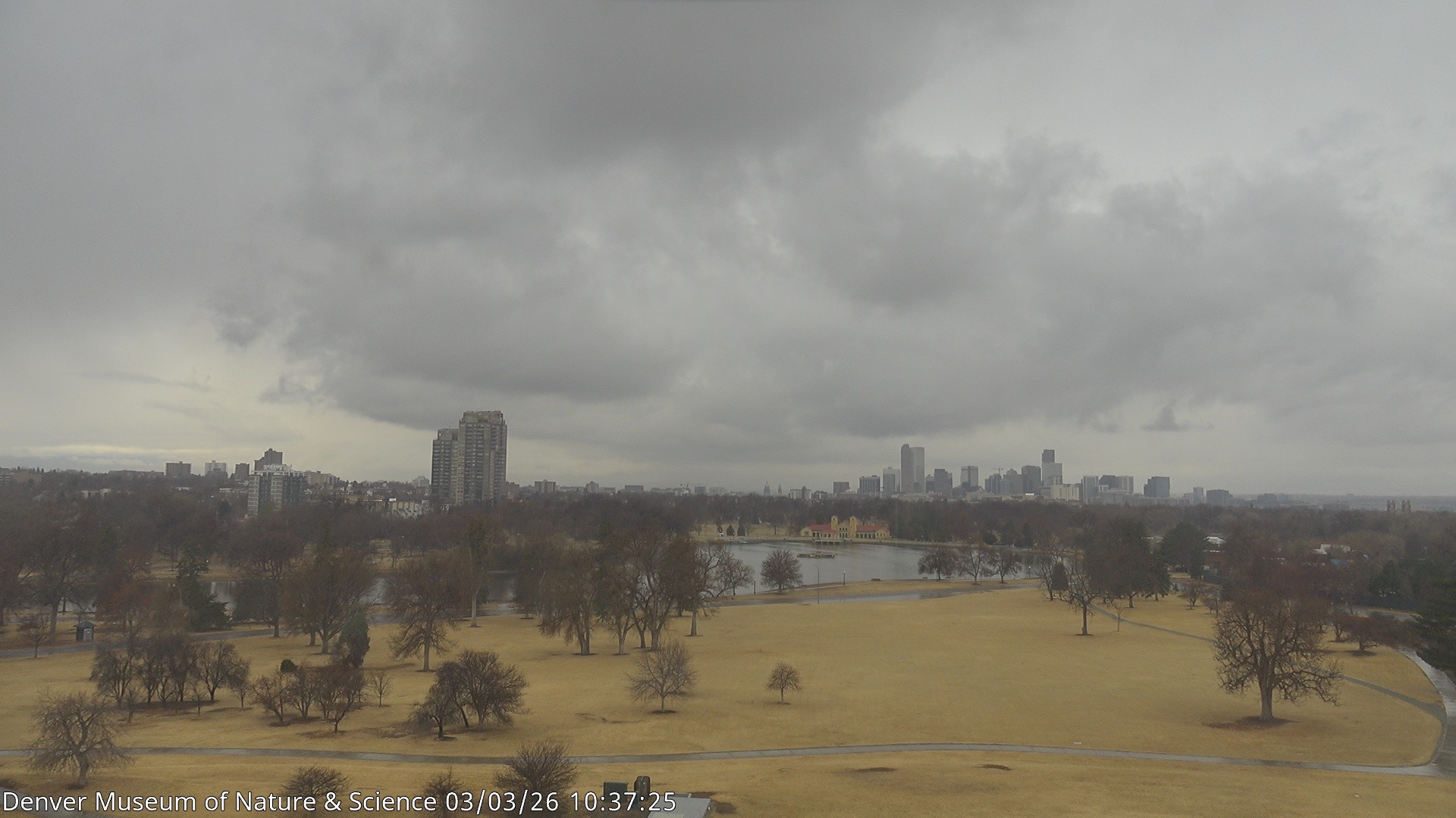 Archived image Webcam Denver's Skyline