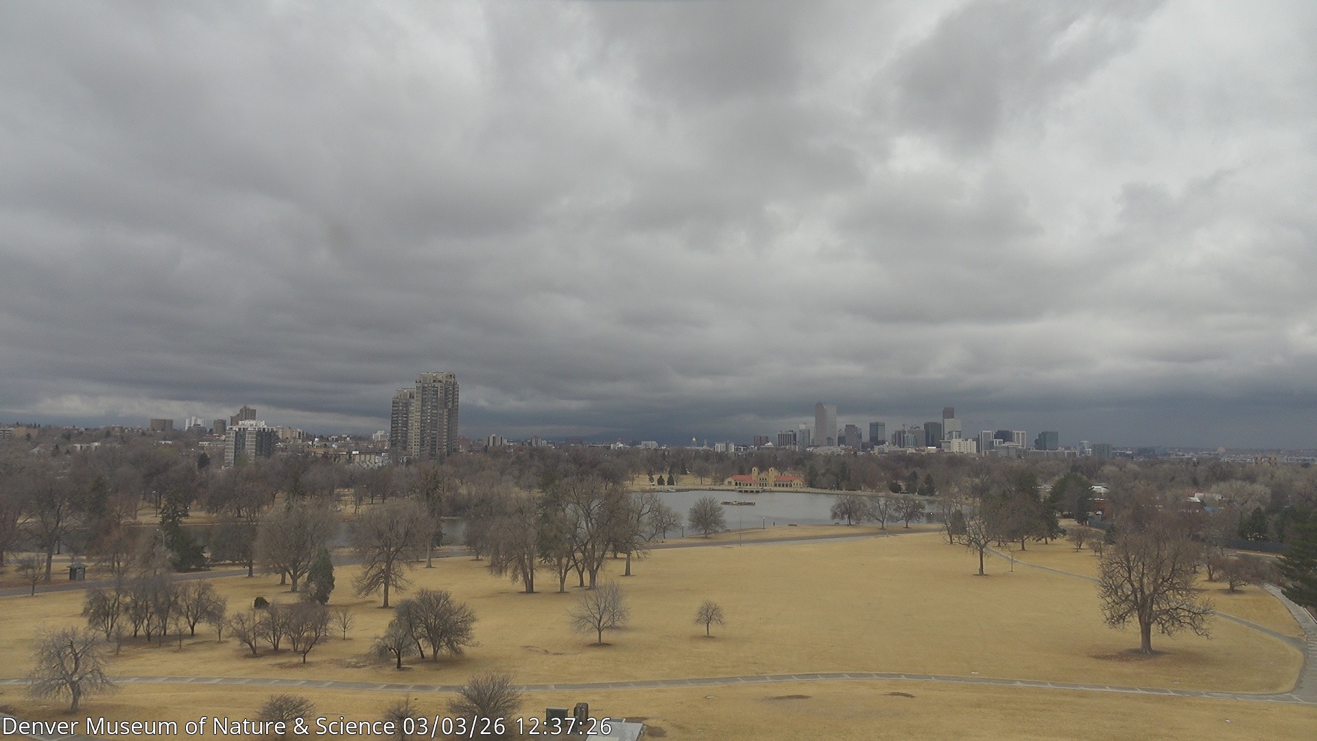 Archived image Webcam Denver's Skyline