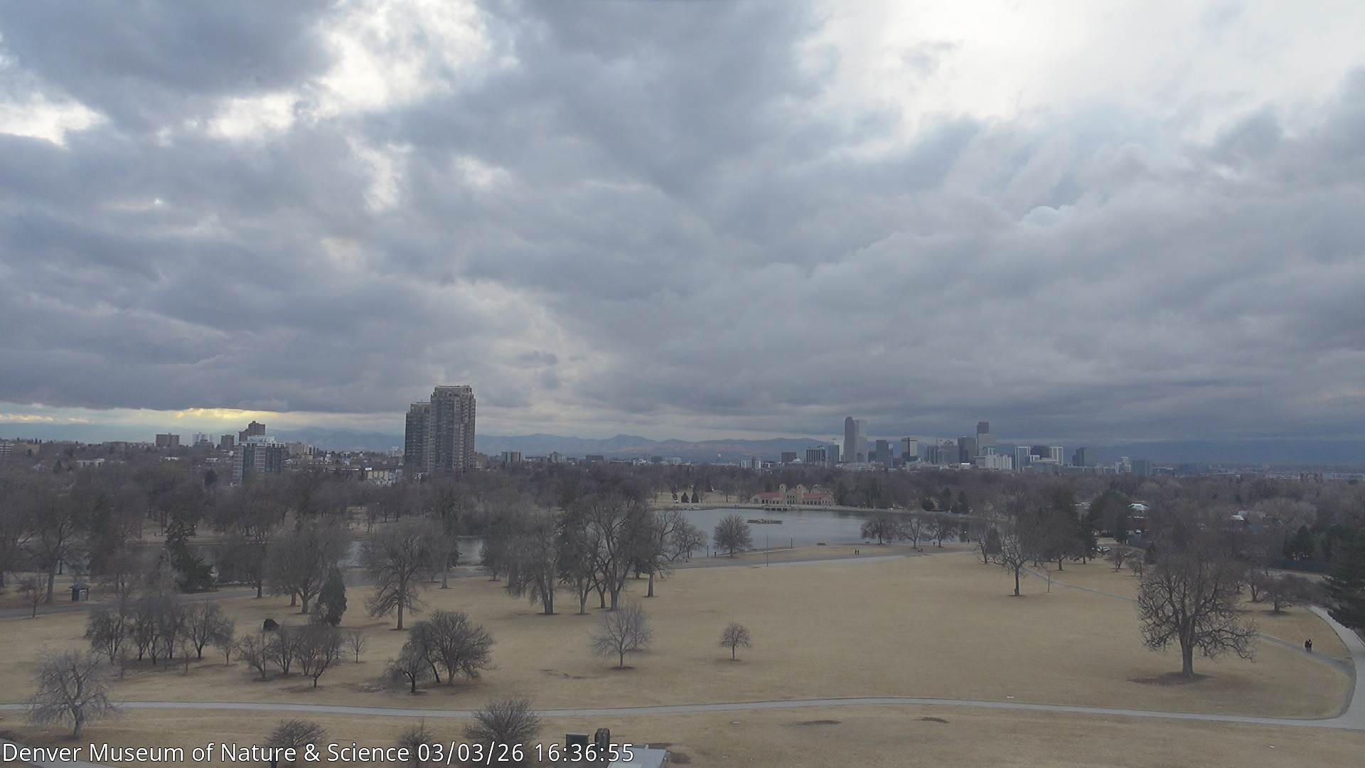 Archived image Webcam Denver's Skyline