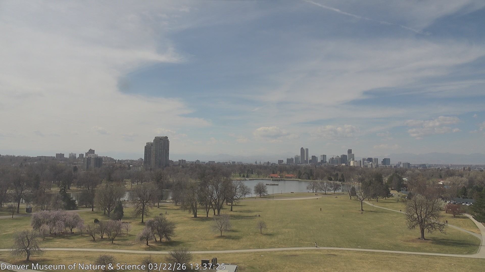 Archiv Foto Webcam Skyline Denver Colorado