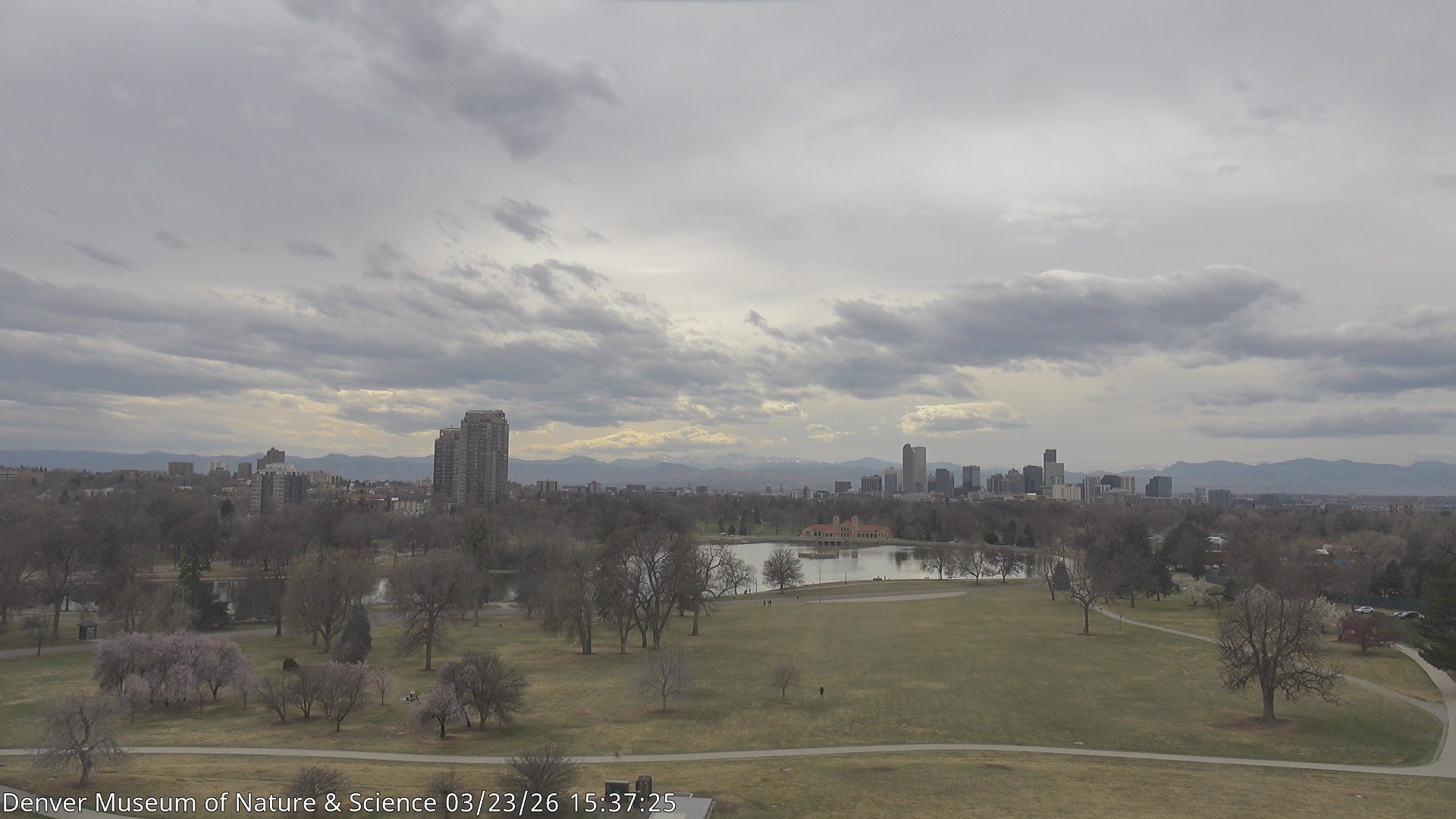 Archived image Webcam Denver's Skyline