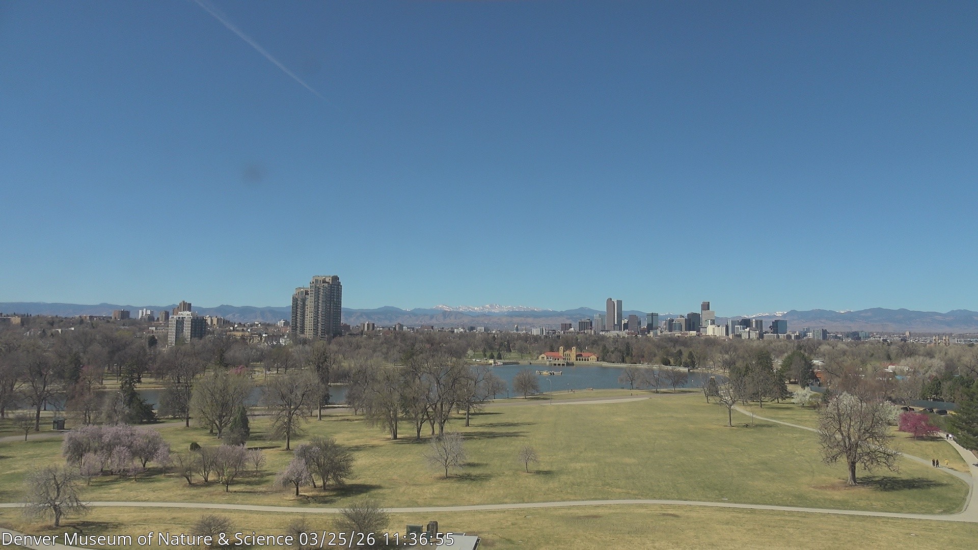 Archived image Webcam Denver's Skyline