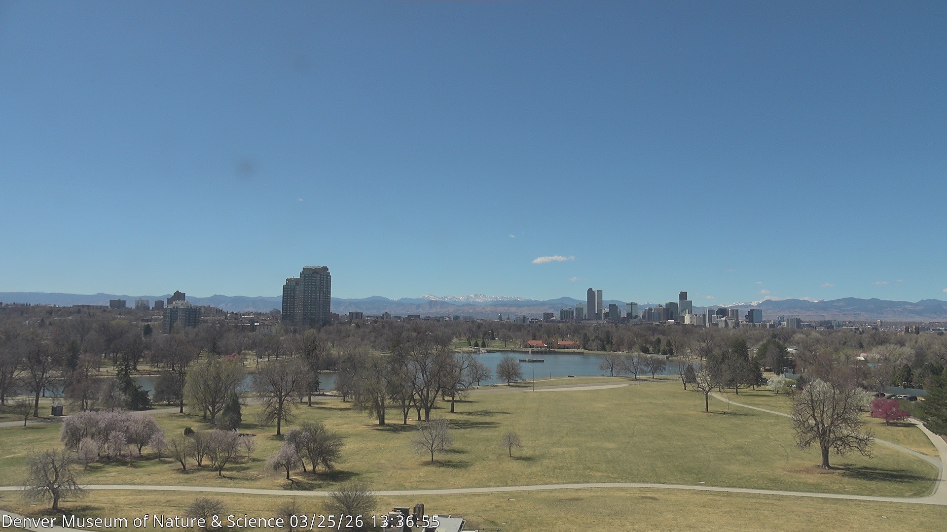 Archived image Webcam Denver's Skyline