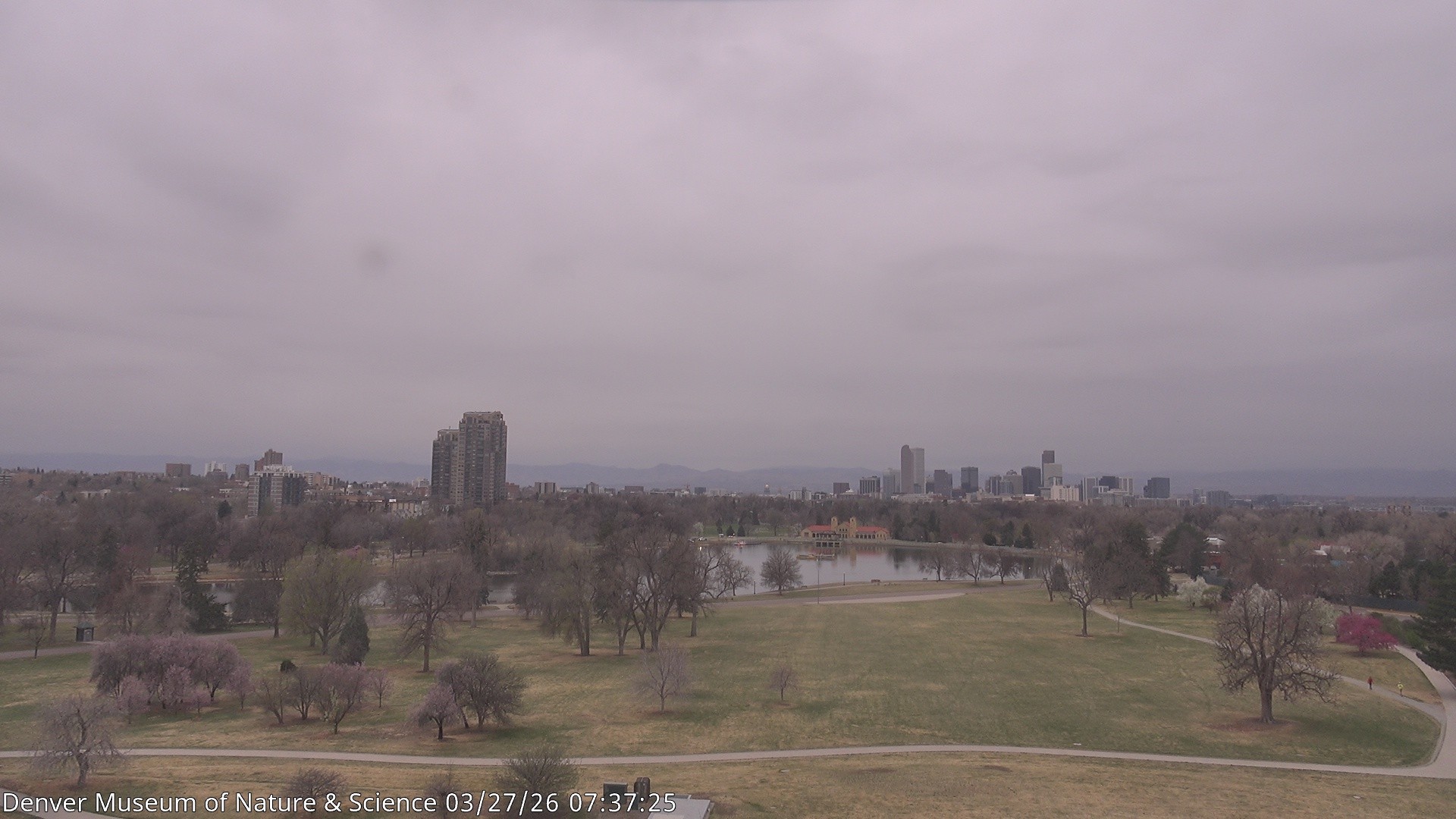 Archived image Webcam Denver's Skyline