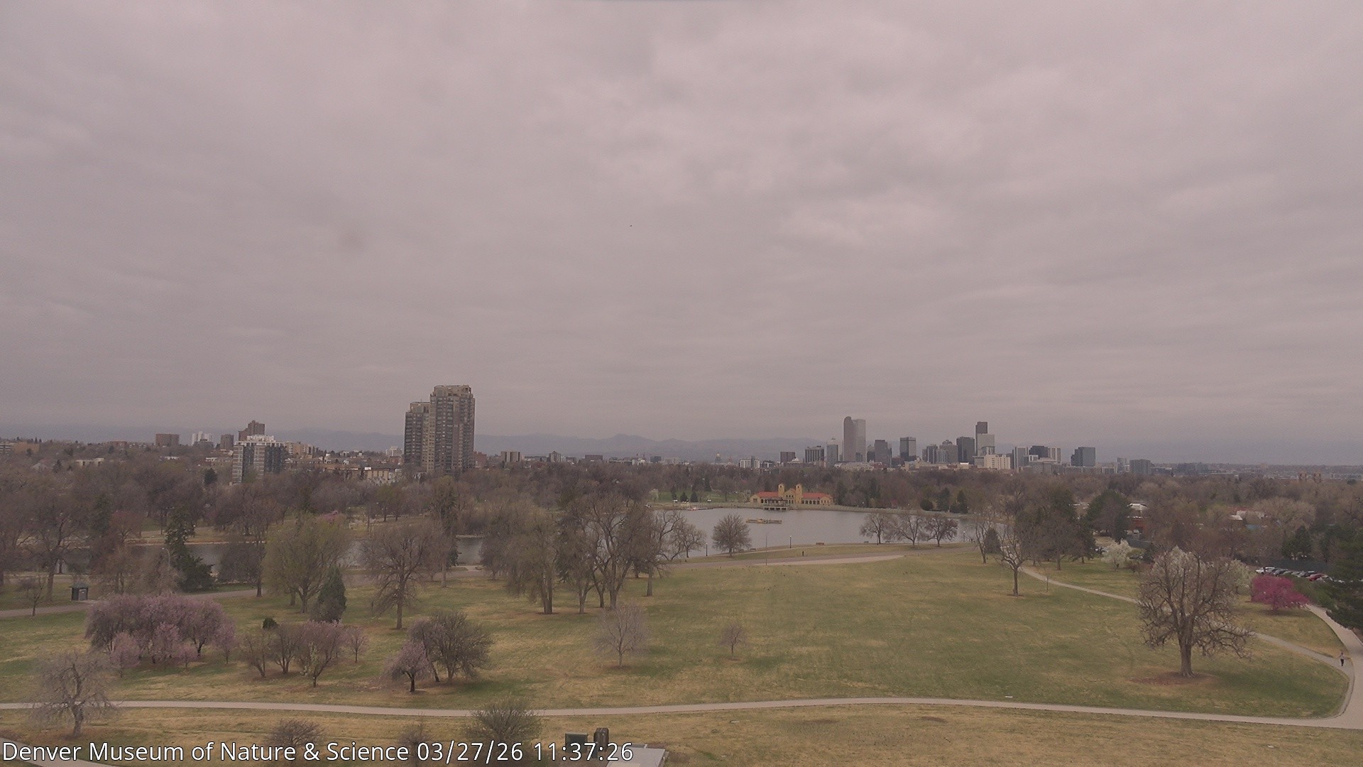 Archived image Webcam Denver's Skyline