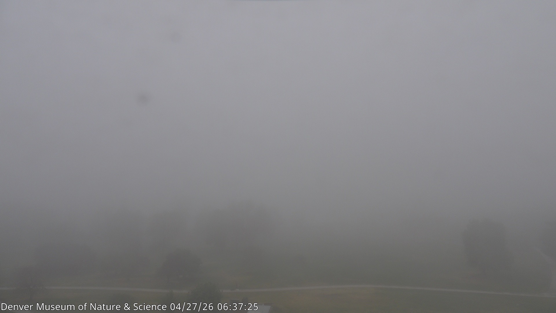 Archived image Webcam Denver's Skyline